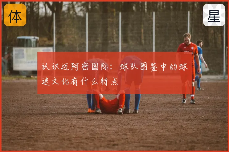 认识迈阿密国际：球队图鉴中的球迷文化有什么特点
